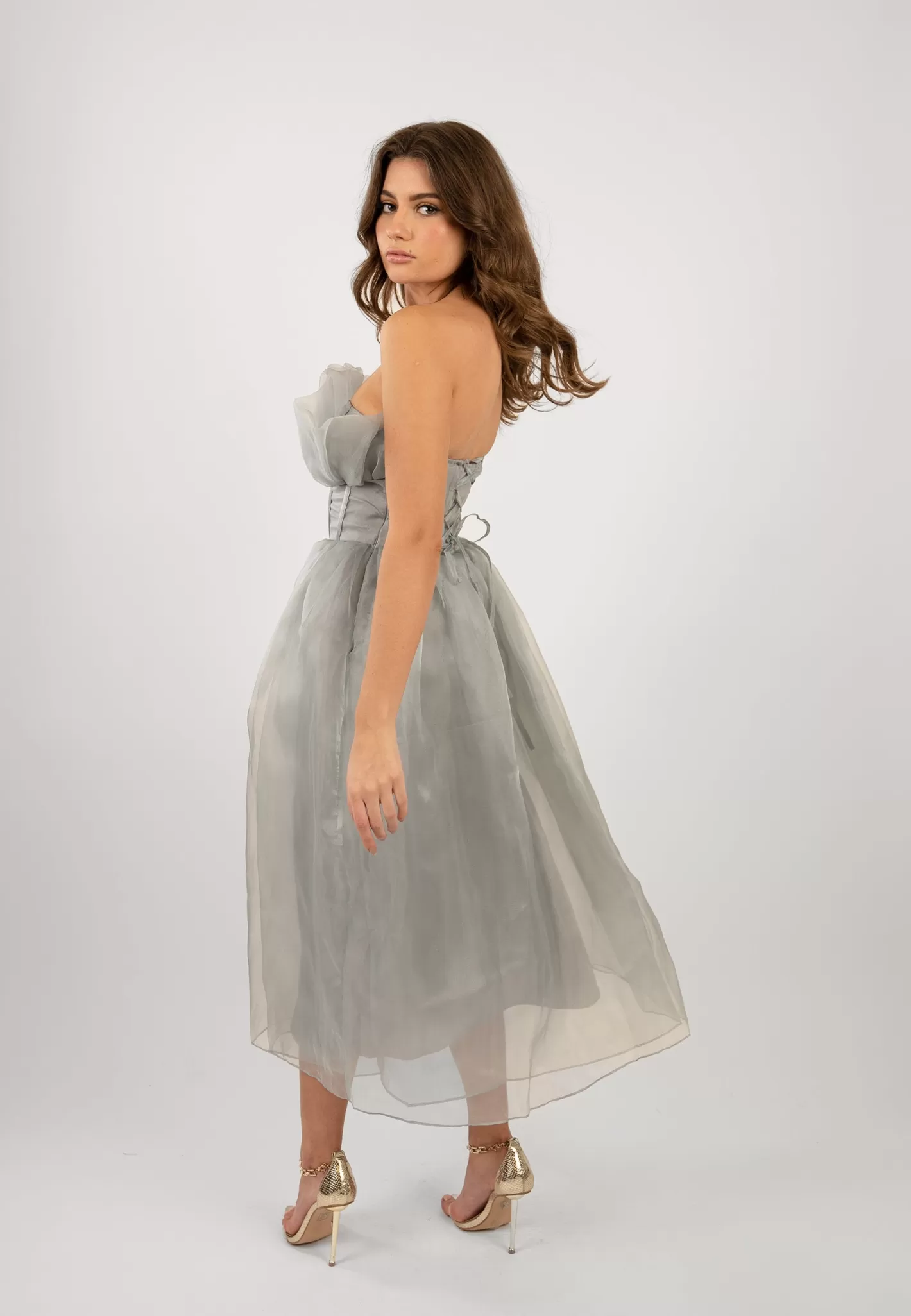 New Noah Organza Midi Dress In Grey Women Midi Dresses